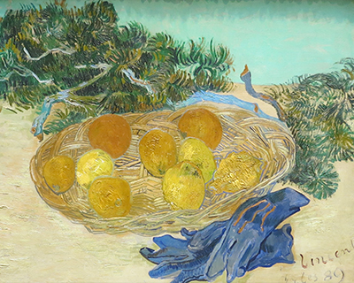 washington dc national gallery art still life oranges and lemons van gogh